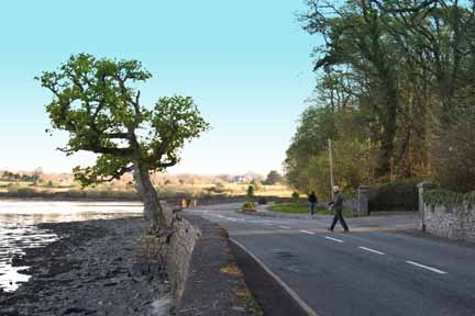 n69 scenic drive on shannon estuary-20mins from piper cottage